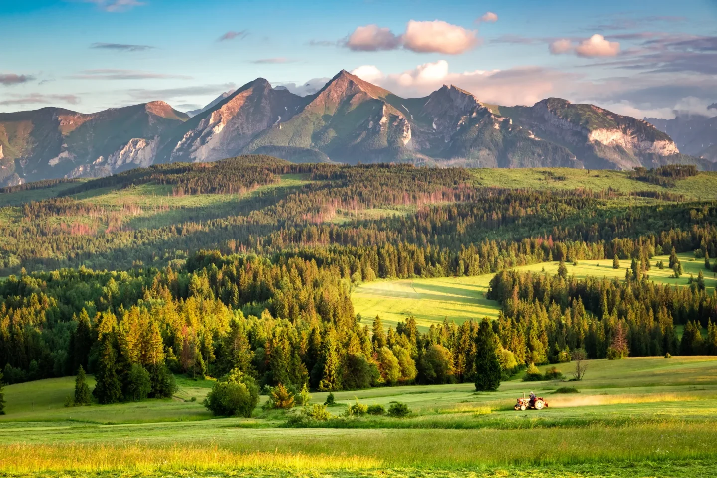 Hunt in Slovakia Your gateway to exceptional European hunting adventures
