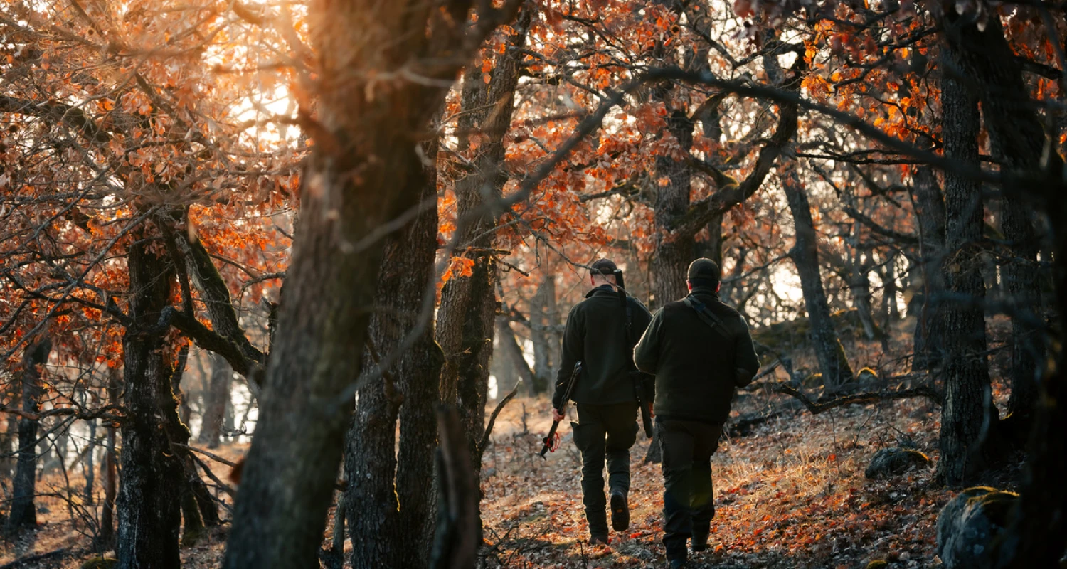 Our services | Hunt in Slovakia