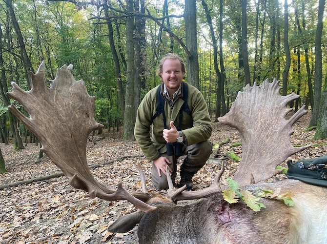 Fallow deer