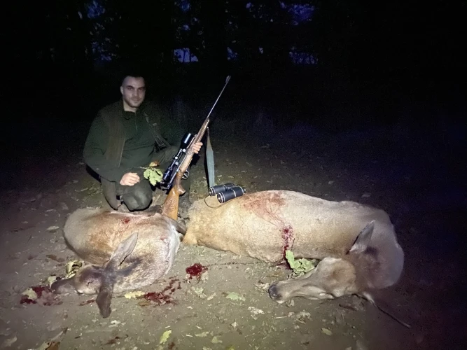 Cull hunting