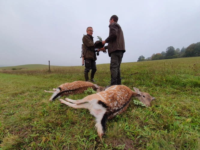 Cull hunting