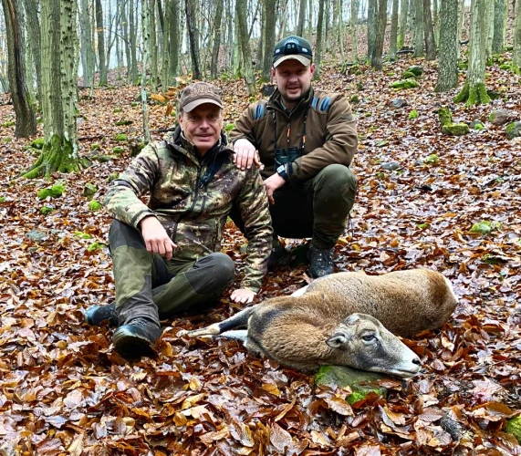 Cull hunting