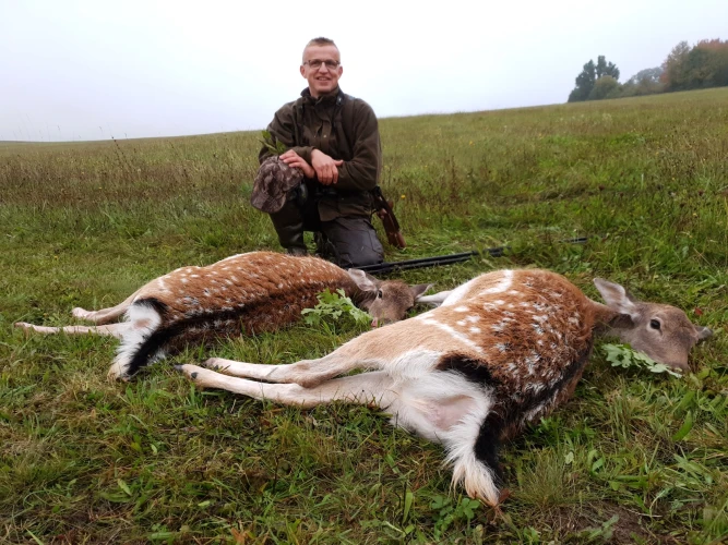 Cull hunting