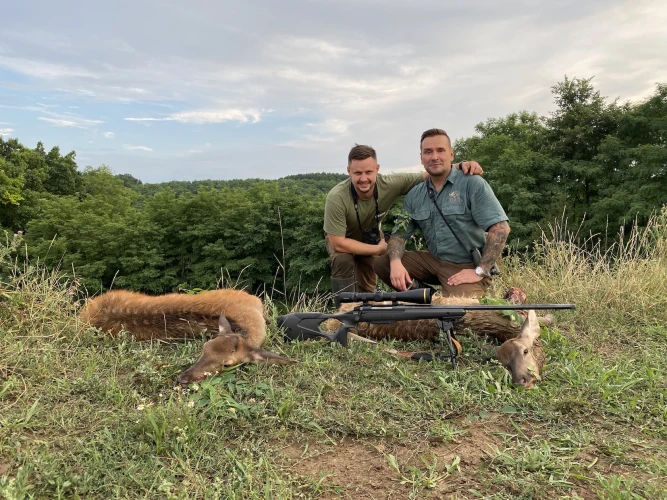 Cull hunting