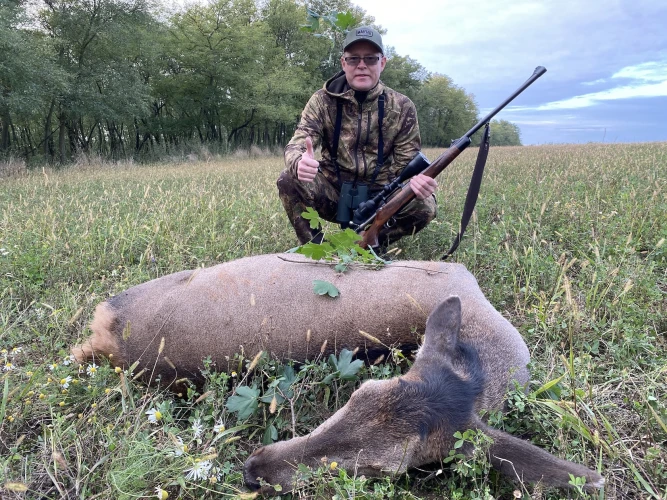 Cull hunting