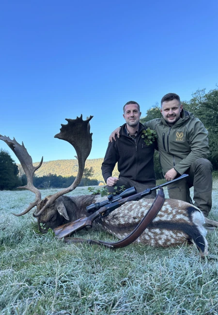 Fallow deer