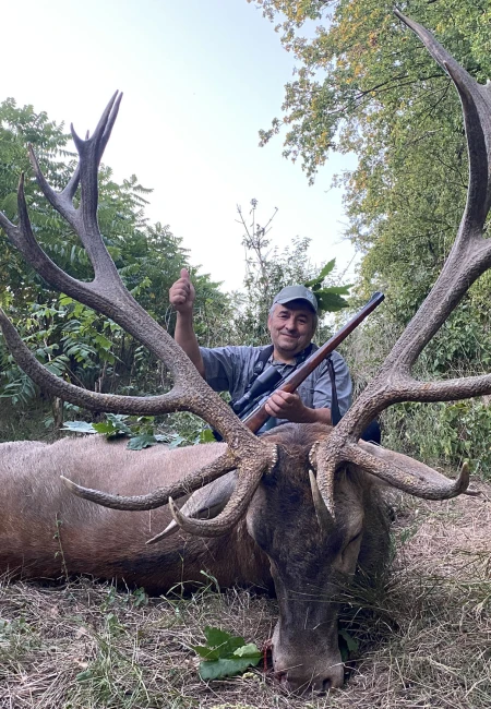 Red stag
