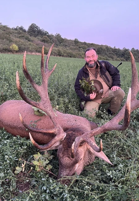 Red stag