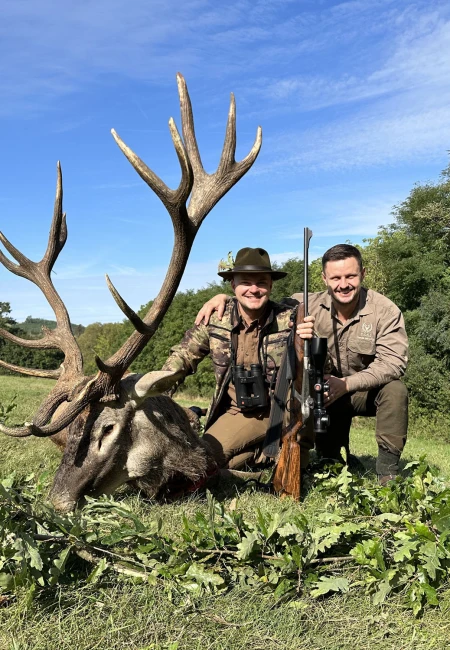 Red stag
