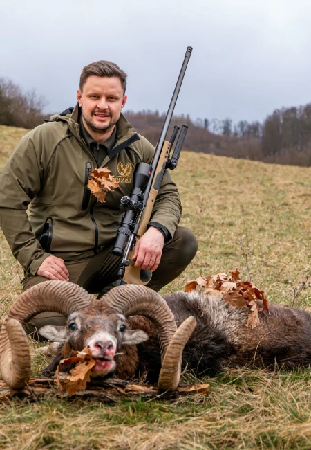 Mouflon
