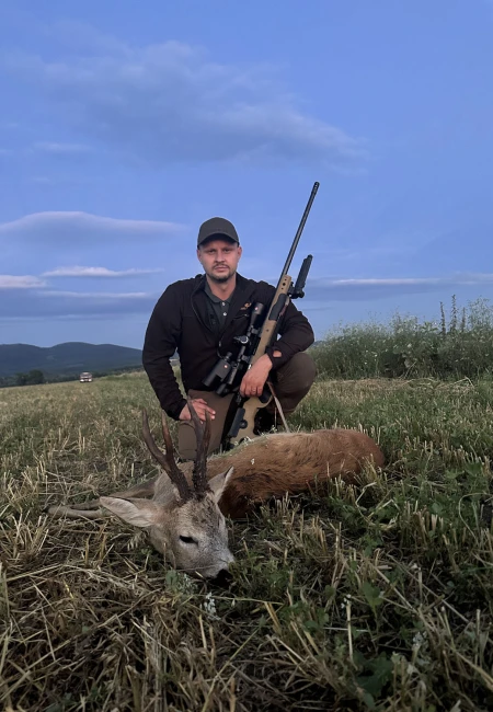 Roe Deer