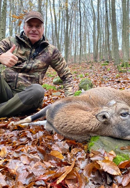 Cull hunting