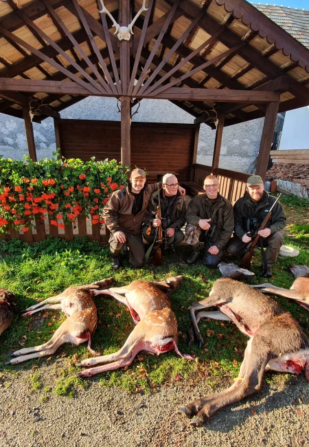 Cull Hunting