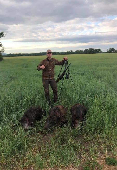 Cull Hunting