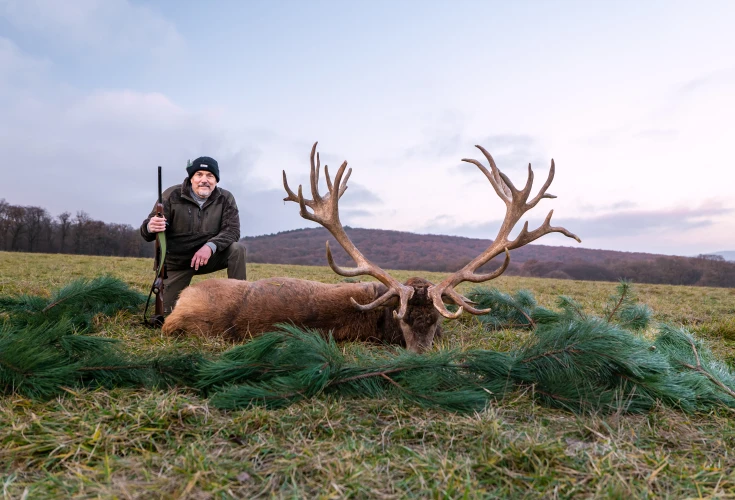 Red stag