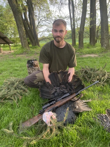 Wild turkey