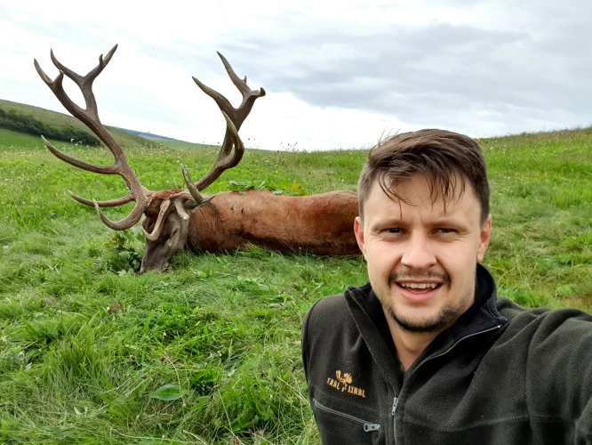 Red stag