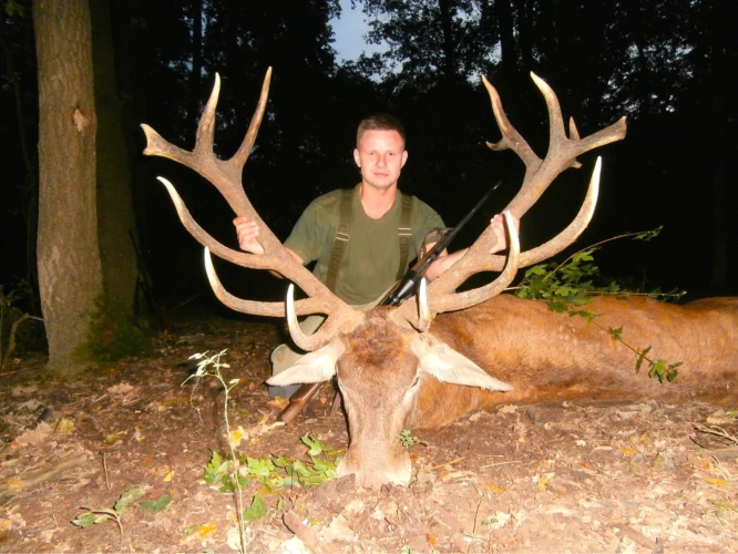 Red stag