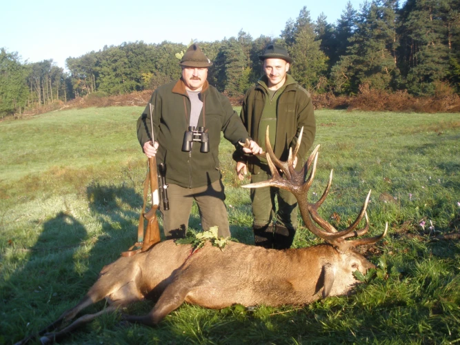 Red stag