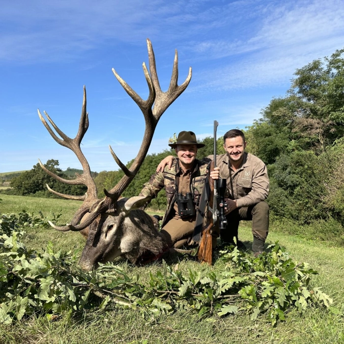 Red stag | Hunt in Slovakia