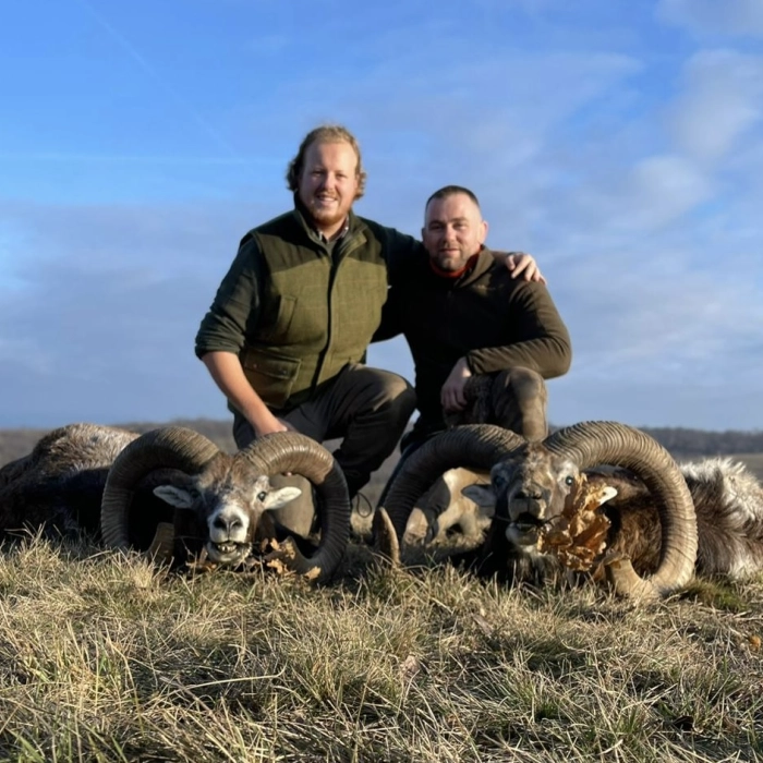 Mouflon | Hunt in Slovakia