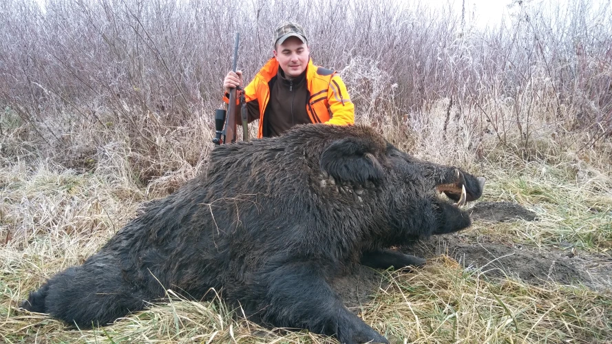Driven hunt