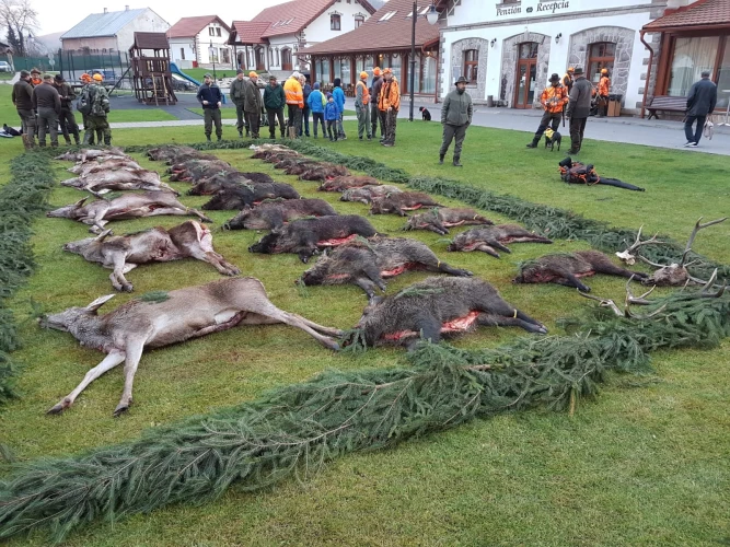 Driven hunt