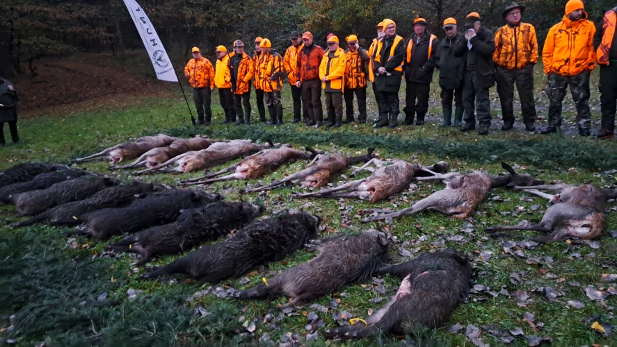 Driven hunt