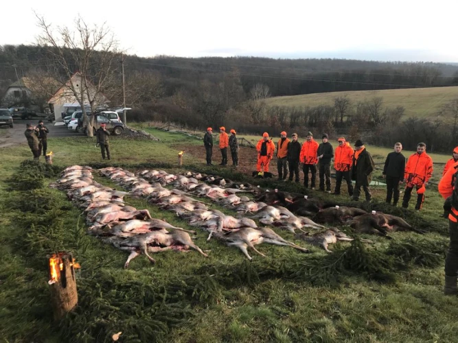 Driven hunt