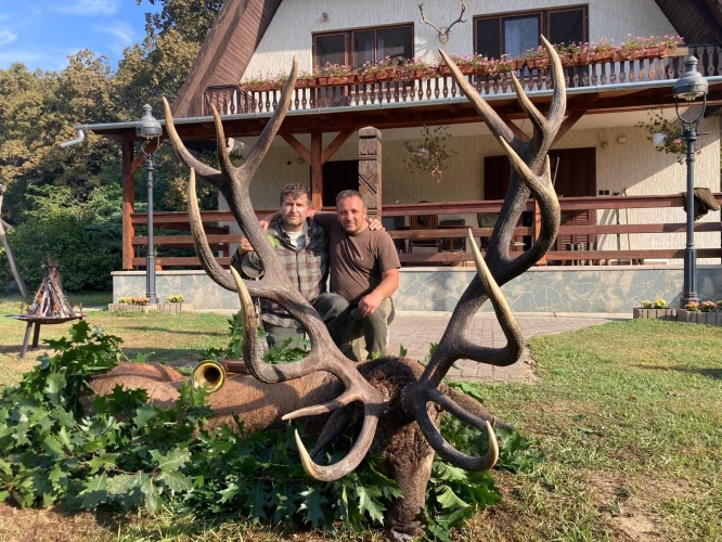 Red stag