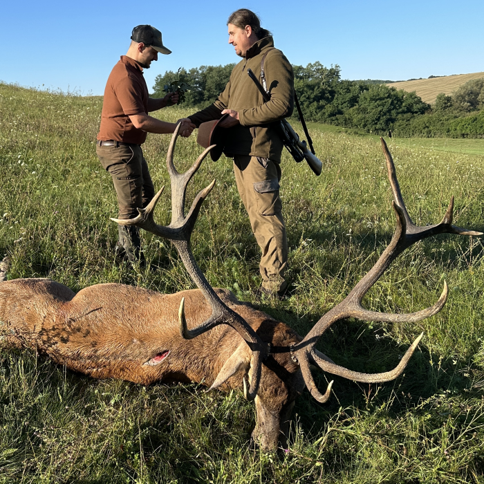 Red stag | Hunt in Slovakia