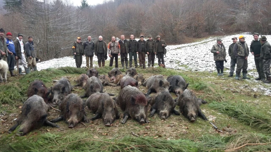 Driven hunt