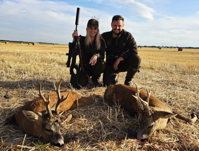 Roe buck