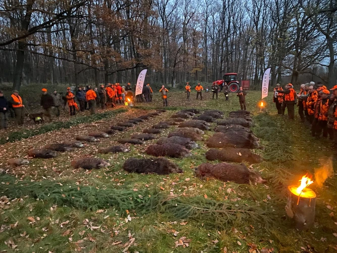 driven hunt