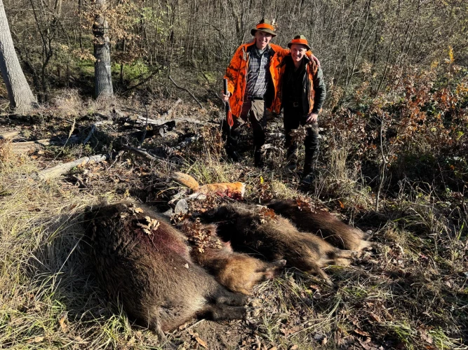 Driven hunt