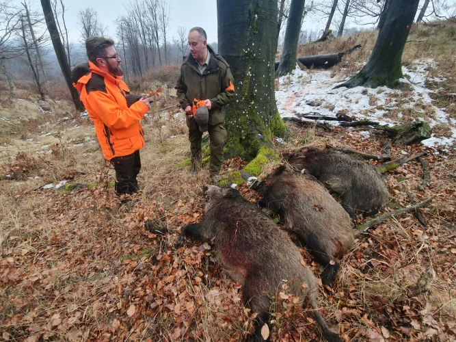 Driven hunt