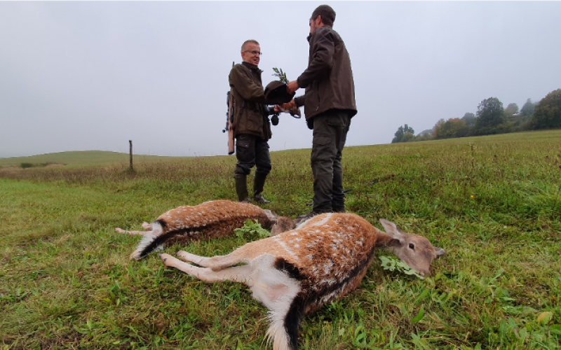 Non trophy hunting in Slovakia - 03