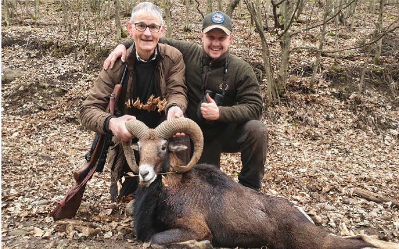 Mouflon hunting in Slovakia - 03