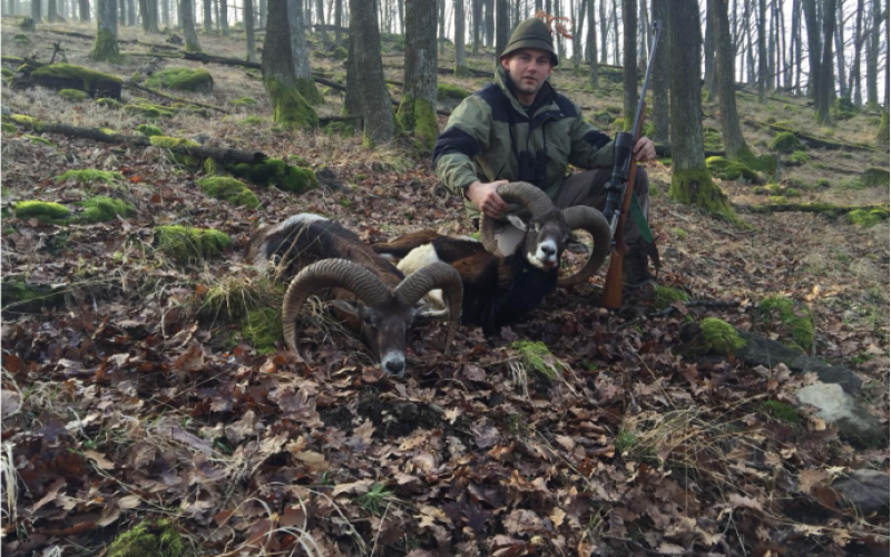 Mouflon hunting All inclusive in Slovakia - 04