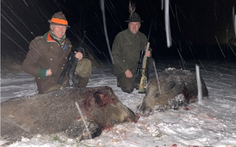 Wildboar hunting in Slovakia - 04