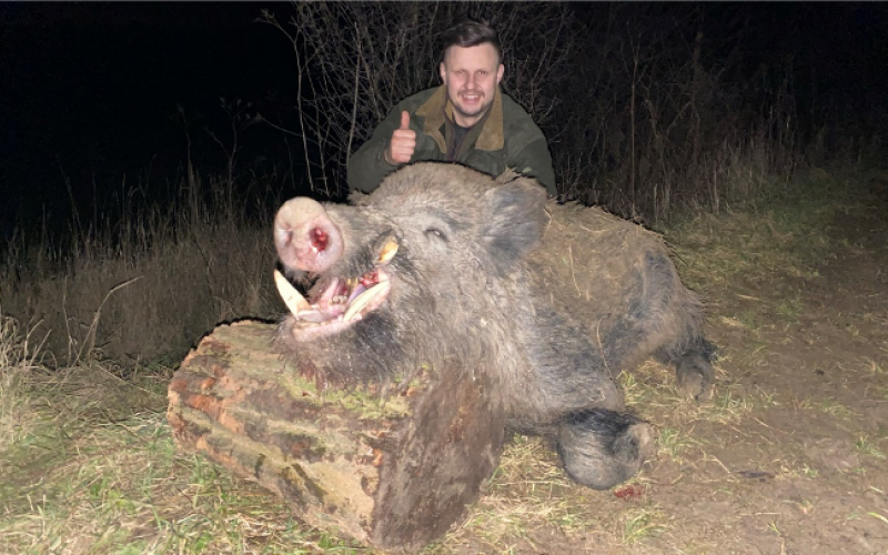 Wildboar hunting in Slovakia - 03